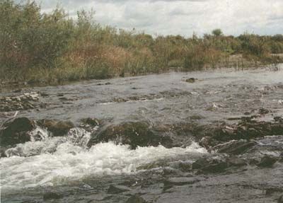 Перекаты на реке Чумыш