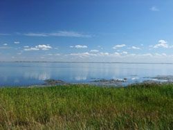 Озеро Малое Яровое
