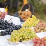 19 сентября 2015 года в 10.00 в краевой библиотеке им. В. Я. Шишкова состоится встреча членов барнаульского клуба виноградарей «Альфа». 19 сентября 2015 года в 10.00 в краевой библиотеке им. В. Я. Шишкова состоится встреча членов барнаульского клуба виноградарей «Альфа».