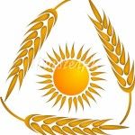 «Информационное обслуживание в сфере АПК и инновационного развития Алтайского края: возможности муниципальных библиотек» «Информационное обслуживание в сфере АПК и инновационного развития Алтайского края: возможности муниципальных библиотек»