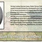 В Президентской библиотеке презентуют межрегиональный проект «Экспедиция Петера Симона Палласа». В Президентской библиотеке презентуют межрегиональный проект «Экспедиция Петера Симона Палласа».