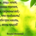 «Вечная симфония природы» «Вечная симфония природы»
