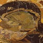«Зримая истина» «Зримая истина»