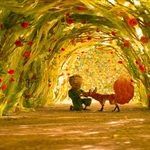 «Вселенная «Маленького принца» «Вселенная «Маленького принца»
