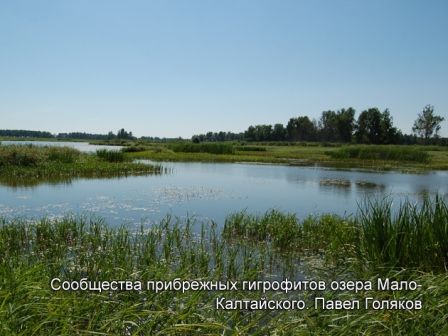 Озеро Мало-Калтайское
