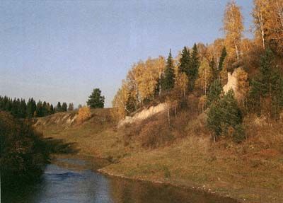 Берег реки Аламбай у села Казанцево