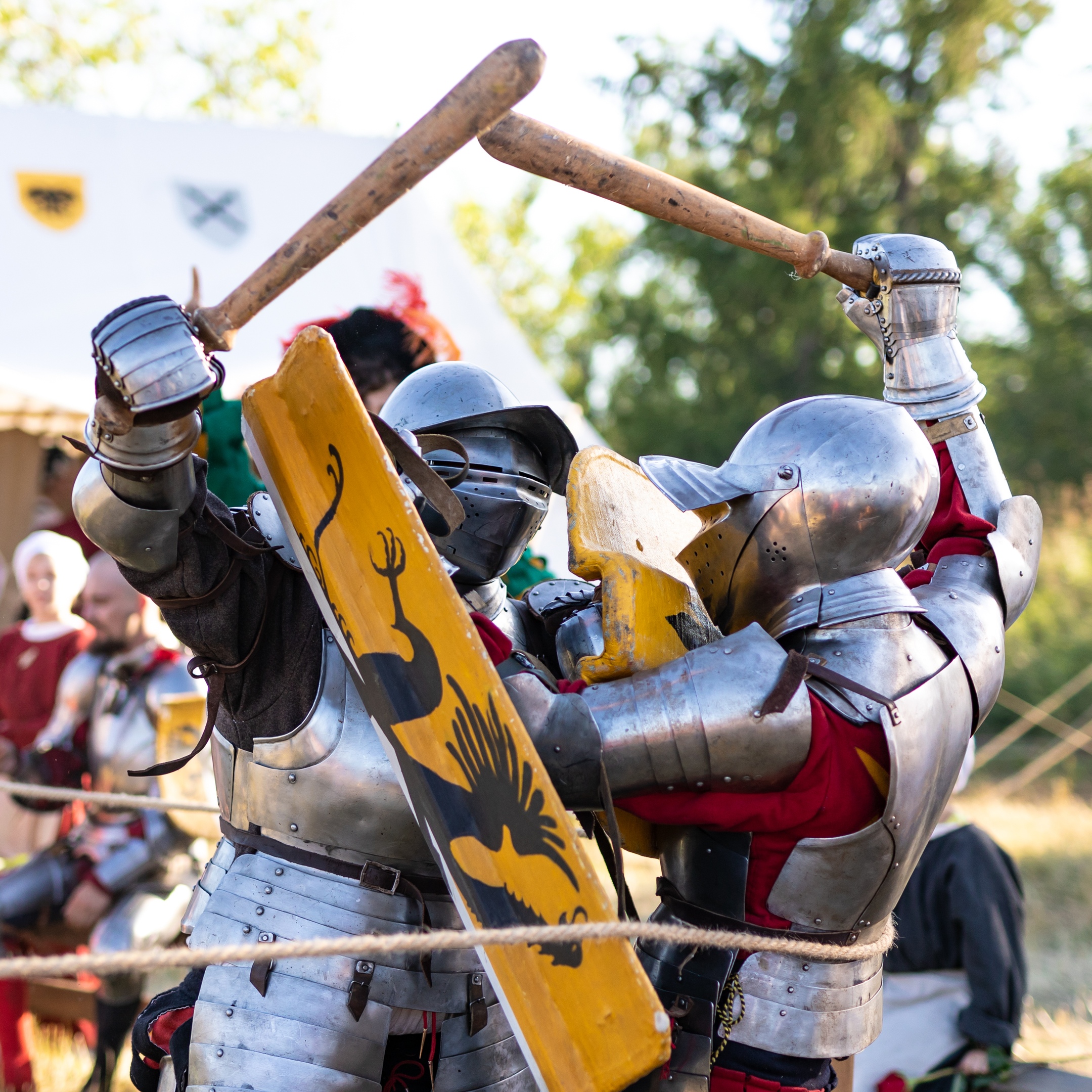 «Открытая библиосреда»: средневековые рыцари идут на штурм «Шишковки»