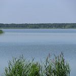 Алейский район