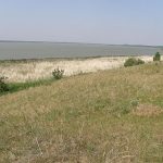 Алейский район