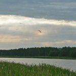 Алейский район