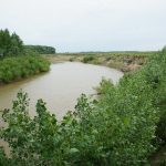 Алейский район