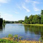 Алейский район