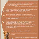 Инфографика ПЦПИ