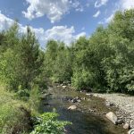 Памятники природы