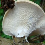 Долина реки Каменки